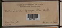 Image Associated With the Occurence